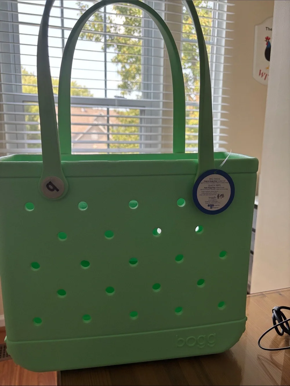 BOGG BAG Mint Green Perforated Tote with Long Handles